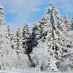 Haus Nina Near Willingen And Winterberg * Olsberg