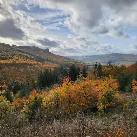 Apartamento Haus Nina Near Willingen And Winterberg Olsberg