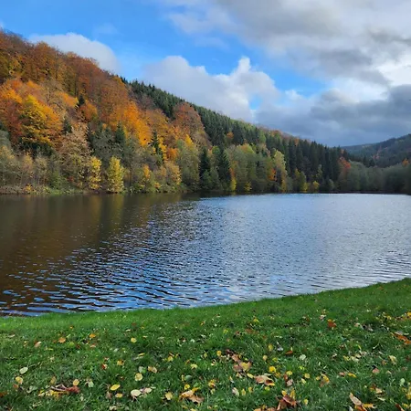 Haus Nina Near Willingen&winterberg * Olsberg