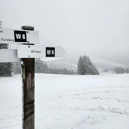 Apartment Haus Nina Near Willingen And Winterberg *