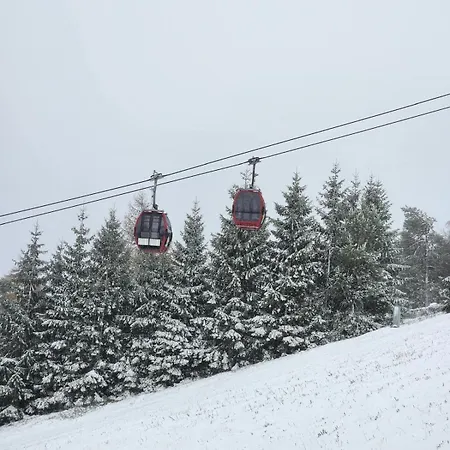 Apartment Haus Nina Near Willingen&winterberg *