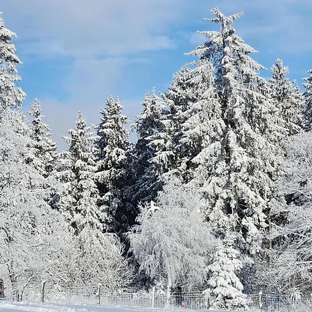 Haus Nina Near Willingen&winterberg * Olsberg