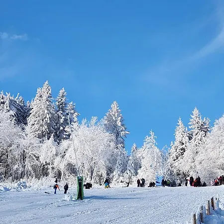 Apartment Haus Nina Near Willingen&winterberg