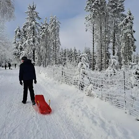 Apartment Haus Nina Near Willingen&winterberg *