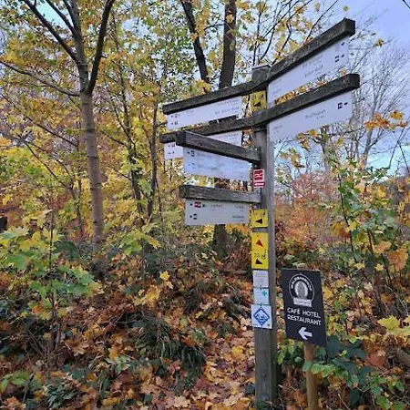 Haus Nina Near Willingen&winterberg Apartment Olsberg