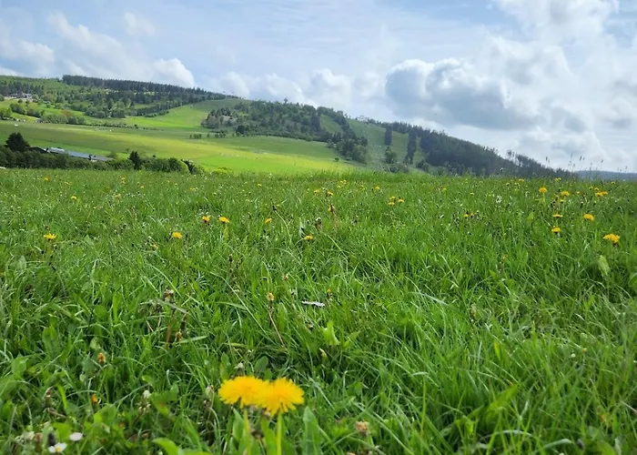 Haus Nina Near Willingen And Winterberg