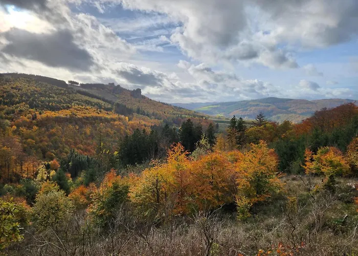Apartamento Haus Nina Near Willingen And Winterberg Olsberg