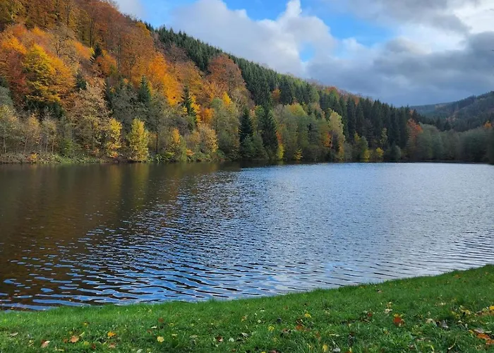 Haus Nina Near Willingen And Winterberg * Olsberg