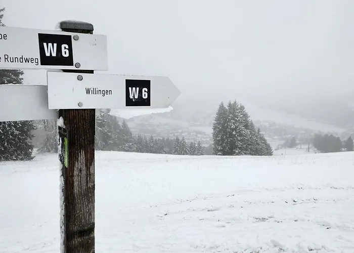 Lejlighed Haus Nina Near Willingen And Winterberg *