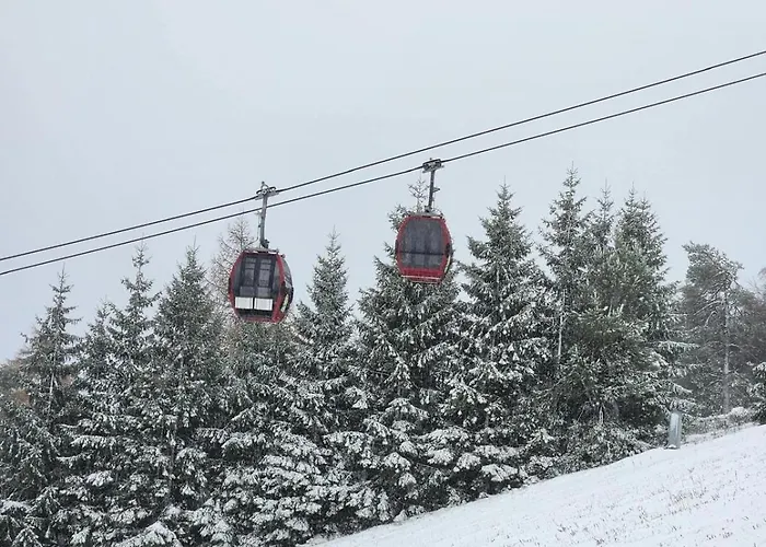 Apartamento Haus Nina Near Willingen And Winterberg *