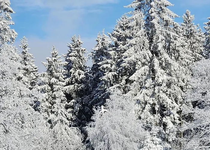 Haus Nina Near Willingen And Winterberg * Olsberg