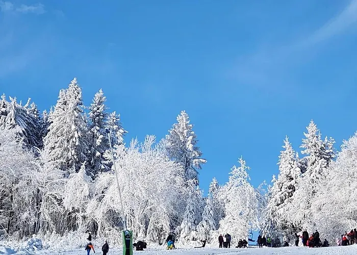 Apartamento Haus Nina Near Willingen And Winterberg