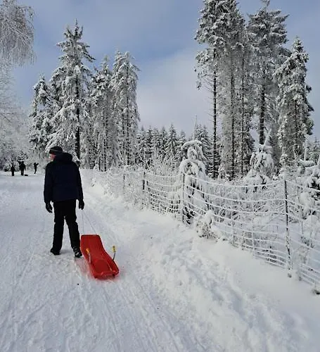 Lejlighed Haus Nina Near Willingen And Winterberg *