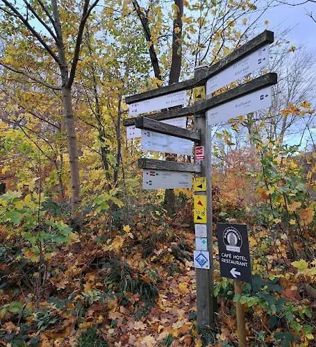 Haus Nina Near Willingen And Winterberg Apartamento Olsberg